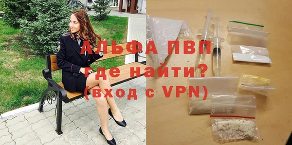 стаф Кулебаки